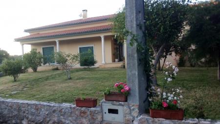 Casa da Floresta 114523/AL Casa da Floresta 114523/AL