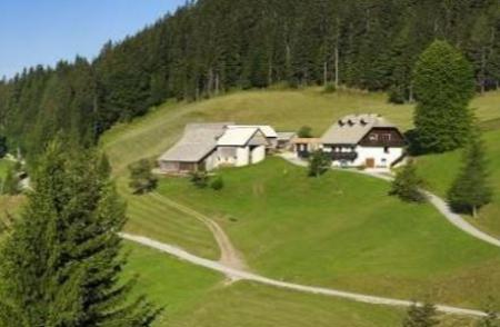 Tourist Farm Rogar Tourist Farm Rogar